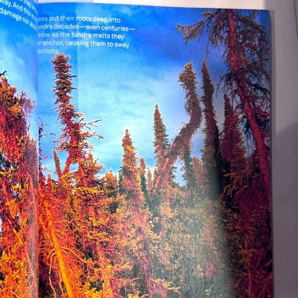 📚 An Inconvenient Truth by Al Gore - 2006 Vintage Printed Edition Bestseller📚 - Picture 10 of 16